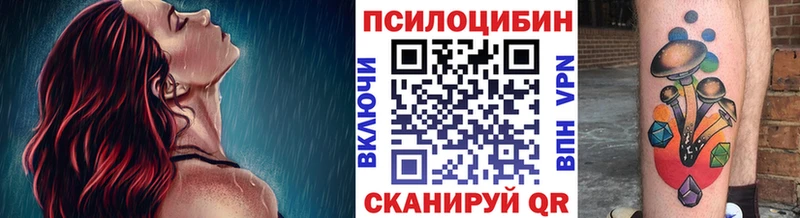 Галлюциногенные грибы GOLDEN TEACHER  как найти закладки  Нальчик 