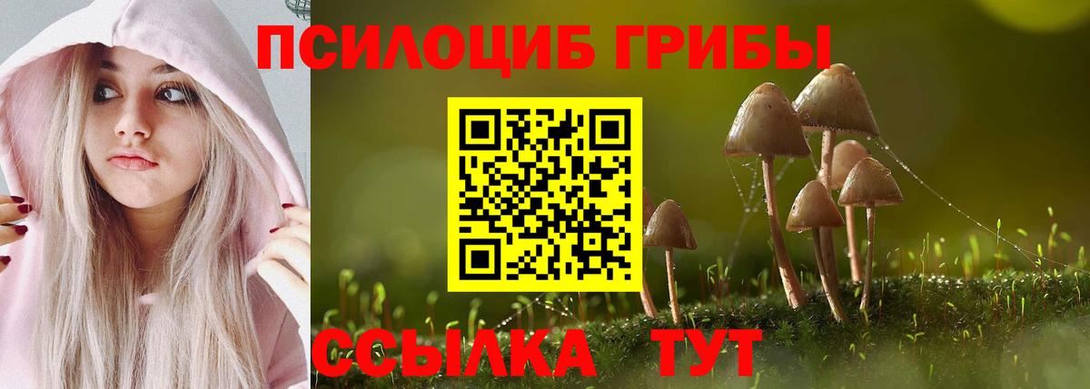 Псилоцибиновые грибы прущие грибы  Вход с VPN  Псилоцибиновые грибы MAGIC MUSHROOMS  Нальчик 